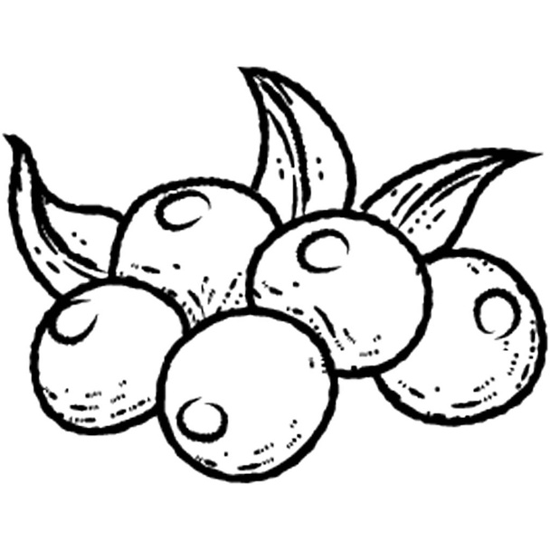 A healthy fruit loquats for healthy life  - Vektor, obrázek