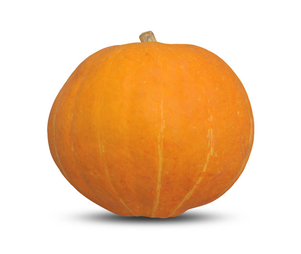 Orange pumpkin for celebrating halloween on white background - 写真・画像