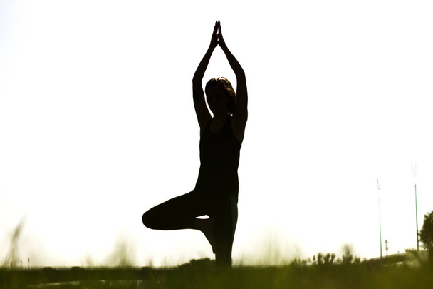 Jeune femme sportive pratiquant des postures de hatha yoga portant leggings et queue de cochon
 - Photo, image