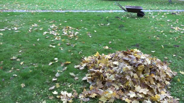 Σωρό από ξερά φύλλα και το καλάθι άδειο καροτσάκι στο φθινόπωρο γκαζόν στον κήπο. 4k - Πλάνα, βίντεο