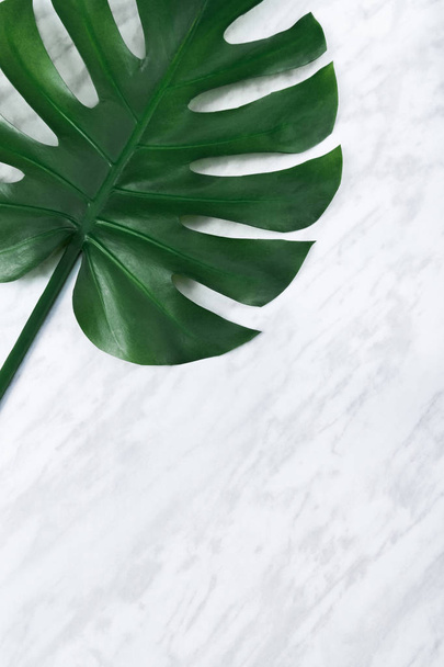 Dark green Monstera leaf on marble background. Popular plant in interior design. - Foto, immagini