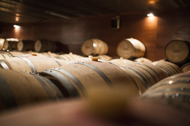 wooden barrels with wine placed in the cellar with dim light - Photo, Image