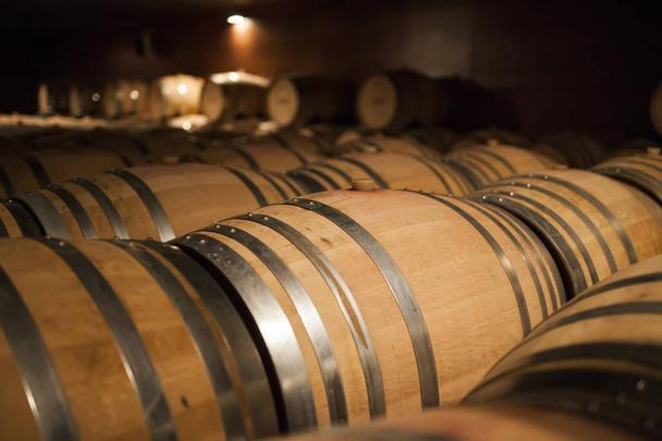 дерев'яні бочки з вином, поміщені в підвал з тьмяним світлом
 - Фото, зображення