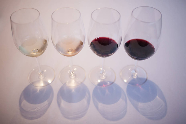 four glasses of wine tasting at a wine house in Spain - Photo, Image