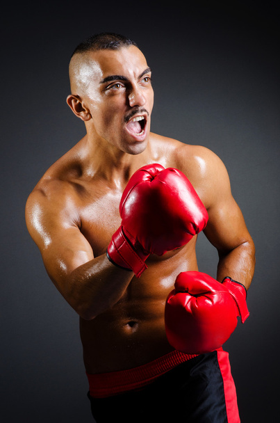 Muscular boxer in studio shooting - Φωτογραφία, εικόνα