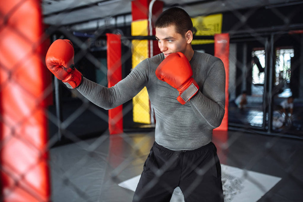 Male boxer engaged in training in the gym, in a cage for a fight without rules - Foto, Imagen