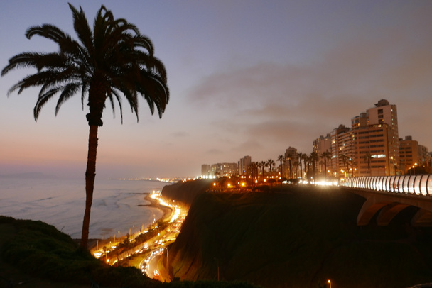 Escénica vista nocturna del puente Villena en el distrito de Miraflores de Lima. En la imagen hay palmeras, árboles, césped, plantas, un parque, farolas, edificios exteriores modernos, una carretera a nivel de costa y un acantilado en un hermoso cielo
.  - Foto, Imagen