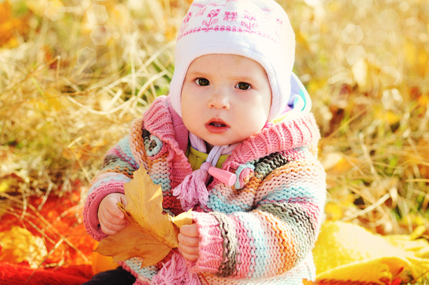 baby in fall time - Φωτογραφία, εικόνα
