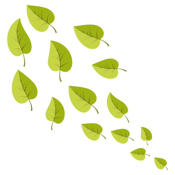 Conjunto de hojas para decoración para web e impresión de la ilsutración. Vecotor dibujos animados primavera hojas verdes
.  - Vector, Imagen