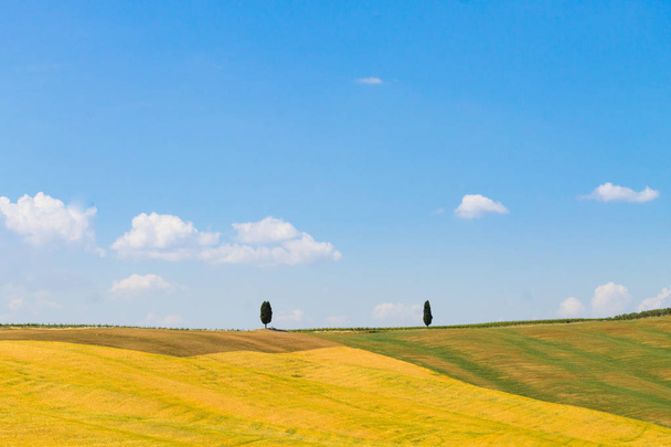 Krajobraz wzgórz Tuscany, Włochy. Obszarów wiejskich włoski panorama. - Zdjęcie, obraz