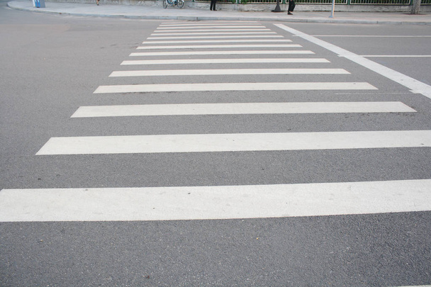 Зебра пересекает асфальтированную дорогу
 - Фото, изображение