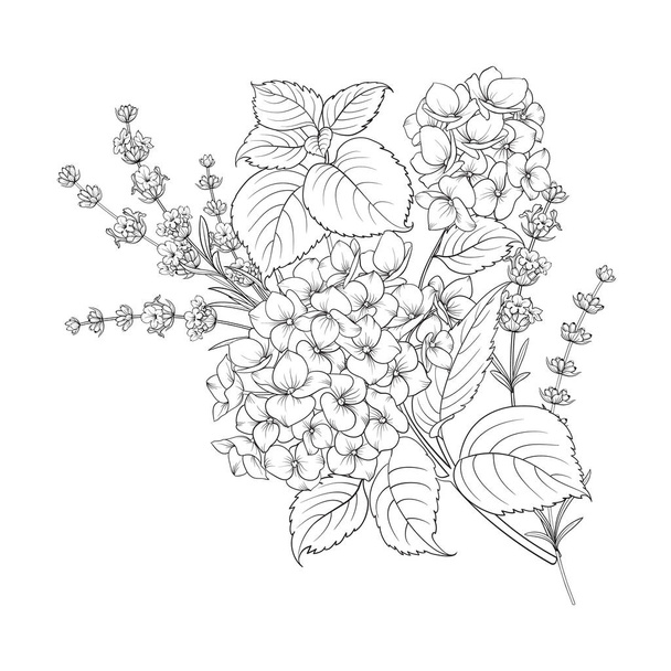 Diseño floral de lavanda y hortensias aisladas sobre fondo blanco
. - Vector, Imagen