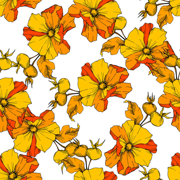 Wildflower rosa canina in a vector style isolated. Yellow engraved ink art. - Vektor, Bild