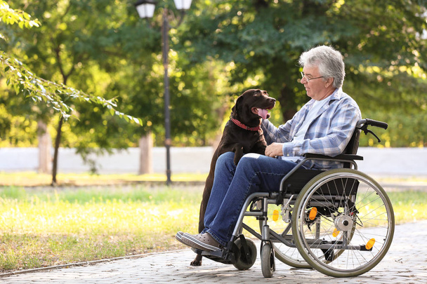 Старший чоловік у візку і його собака на відкритому повітрі
 - Фото, зображення