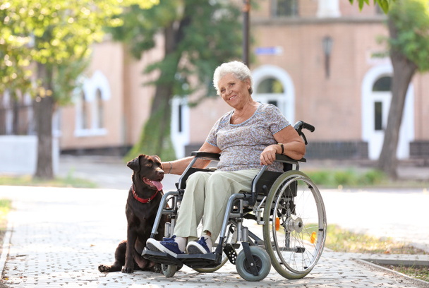 Tekerlekli sandalye ve köpeğini açık havada kadın kıdemli - Fotoğraf, Görsel