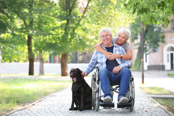 Homem sênior em cadeira de rodas com sua esposa e cachorro ao ar livre
 - Foto, Imagem