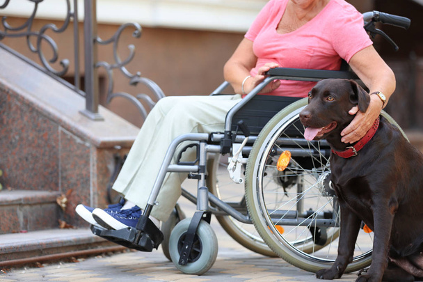 Ανώτερων γυναίκα σε αναπηρικό καροτσάκι και το σκύλο της κοντά σε σκάλες σε εξωτερικούς χώρους - Φωτογραφία, εικόνα
