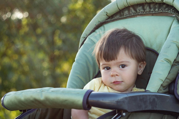 A little boy with a careful look of brown eyes. The child is sitting in the baby carriage for walks. Was taken off the background of green trees, warm summer evening - Photo, Image