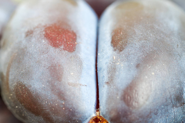 Crotch of the plum. Slices of plum. Division into two. Macro. - Photo, Image