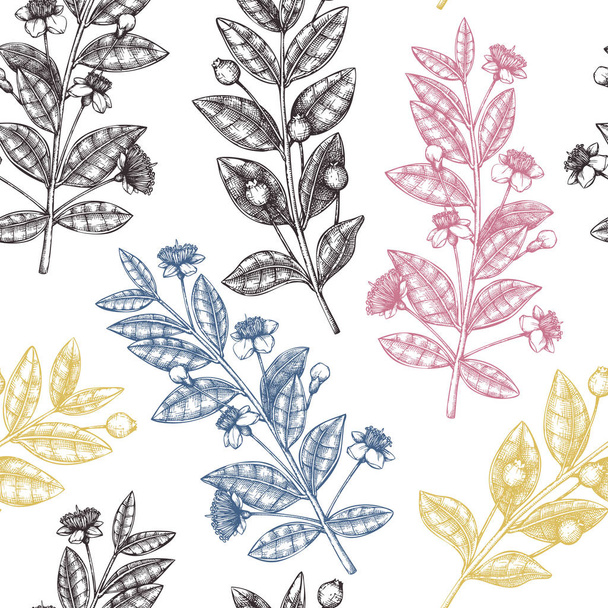 Vector Myrtle tree design. Hand sketched floral illustration. Botanical frame with berries, flowers and leaves. Vintage wedding template - ベクター画像