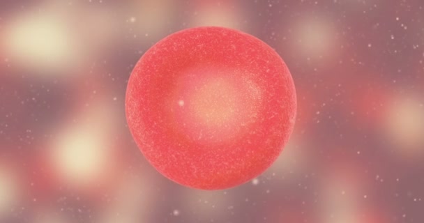 3D-animatie van rode bloedcellen - Video