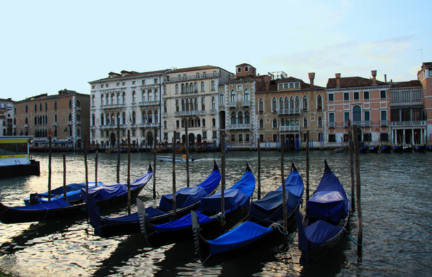 イタリア・ヴェネツィアの大運河 - 写真・画像