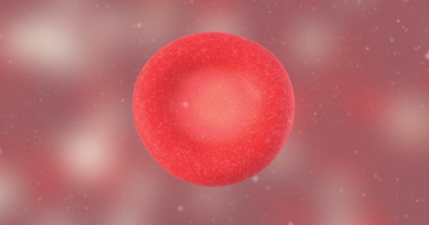 3D animation of red blood cell - Footage, Video