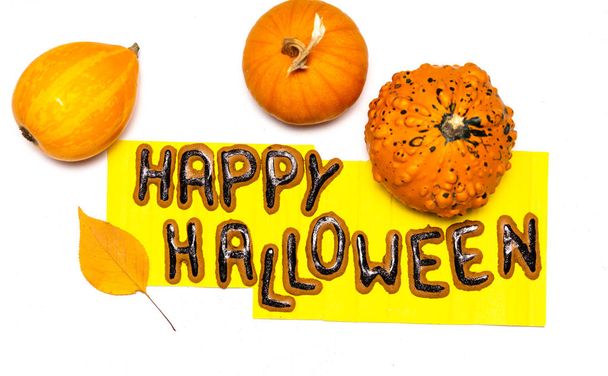 Halloween day background with seasonal decorations on white - Foto, immagini