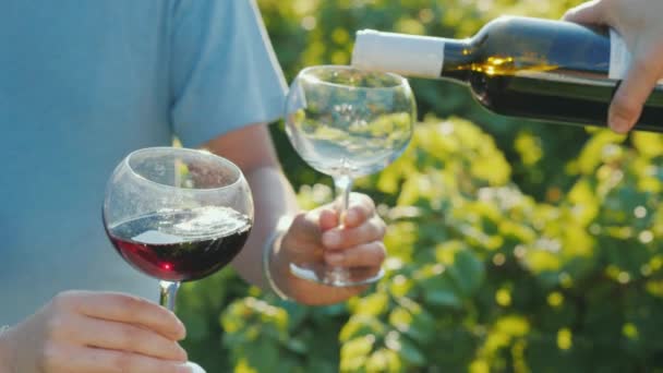 ぶどうの木の背景にグラスに赤ワインを注ぐ。ワインの試飲 - 映像、動画