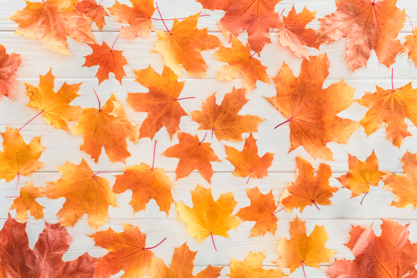 κάτοψη του Πορτοκαλί φθινοπωρινά maple φύλλα σε ξύλινη επιφάνεια - Φωτογραφία, εικόνα
