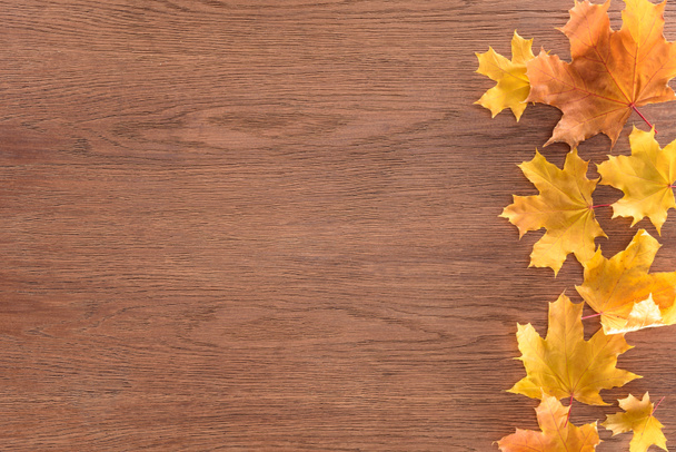 felülnézet sárga őszi juhar elhagyja a barna fa felülettel - Fotó, kép