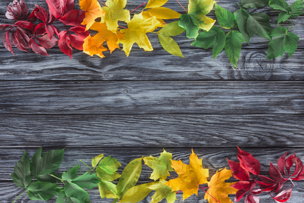 top view of burgundy, yellow and green autumnal maple leaves on wooden surface - Photo, Image