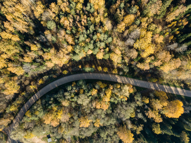 Luftaufnahme der ländlichen Schotterstraße im Herbst farbigen Wald von Lettland. - Foto, Bild