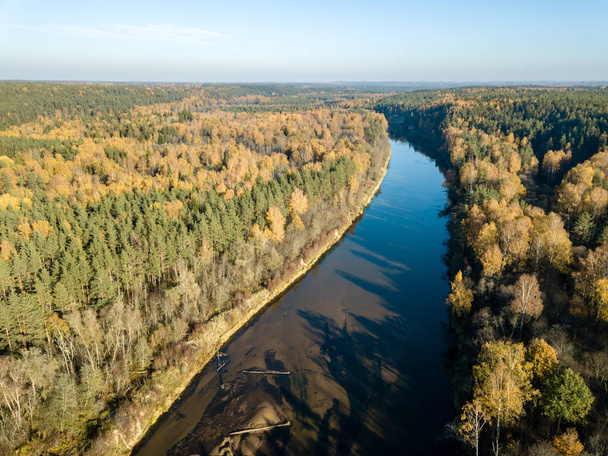 Вид с воздуха на волнистую реку Гауя в осеннем цветном лесу, Латвия
. - Фото, изображение