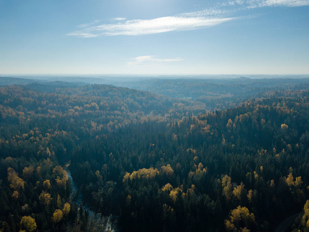 Havadan görünümü ile renkli sarı sonbahar ormanda ile kırsal alanının Letonya ağaçlarda sonbahar. - Fotoğraf, Görsel