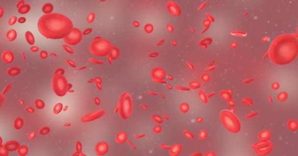 3D-animatie van rode bloedcellen - Video