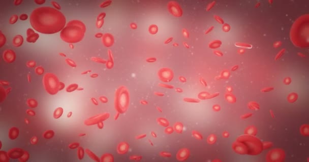 3D animation of red blood cell - Footage, Video