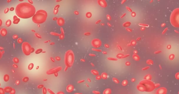 3D animace červených krvinek - Záběry, video