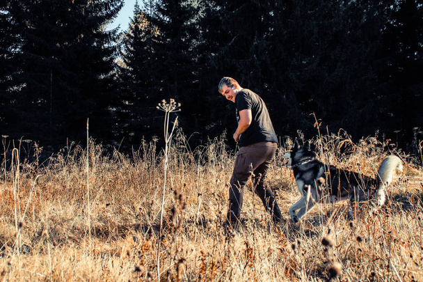 Człowiek w czarny t-shirt grać z śmieszne husky w pole. Ukraińskich Karpat w czasie jesieni. Ciepłe, kolorowe, zielonych liści. Widokiem na lasy i góry. Podróż z psem - Zdjęcie, obraz