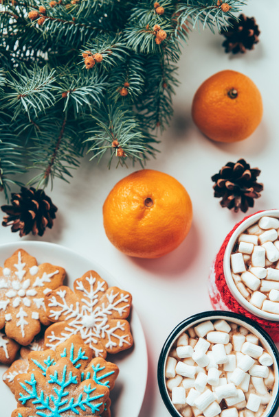 top view of cups of hot chocolate with marshmallows, tangerines, cookies and pine tree branches on white surface, christmas breakfast concept - Photo, Image