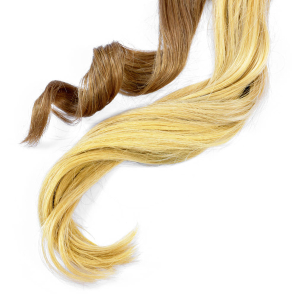 Krásná brunetka a blondýna ocasy, izolované na bílém pozadí. Ocas dlouhý hnědé a blond vlasy, kudrnaté a zdravé vlasy, design prvek nebo vlasy barevný motiv. - Fotografie, Obrázek