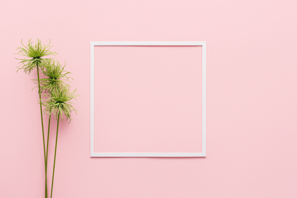 tendido plano con marco blanco y planta verde sobre el concepto rosa, minimalista
  - Foto, Imagen