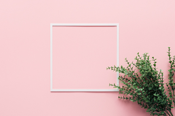 top view of white square and green plant on pink, minimalistic concept - Photo, Image