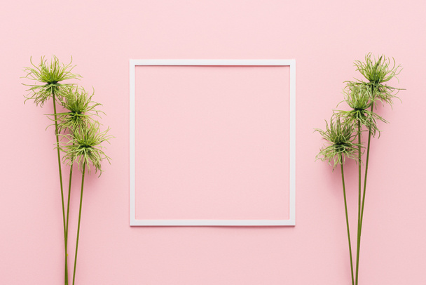 bovenaanzicht van witte frame tussen groene planten op roze  - Foto, afbeelding