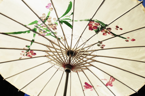 Umbrella - Foto, afbeelding