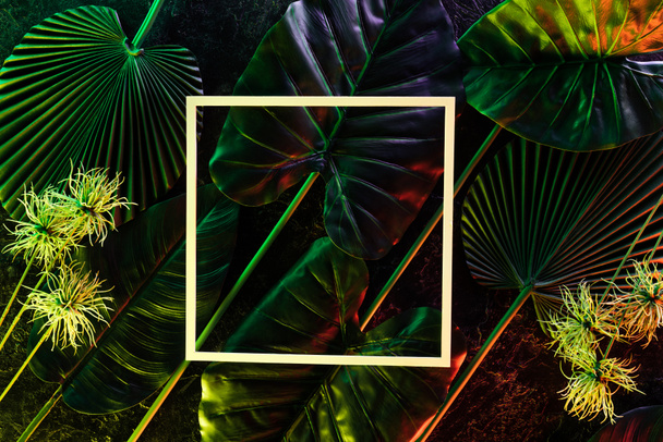 felülnézet tértől és a különböző trópusi levelek, színes világítás  - Fotó, kép