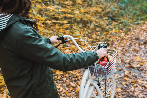 cropped image of woman carrying bicycle with basket full of apples in yellow autumnal forest  - Foto, Bild