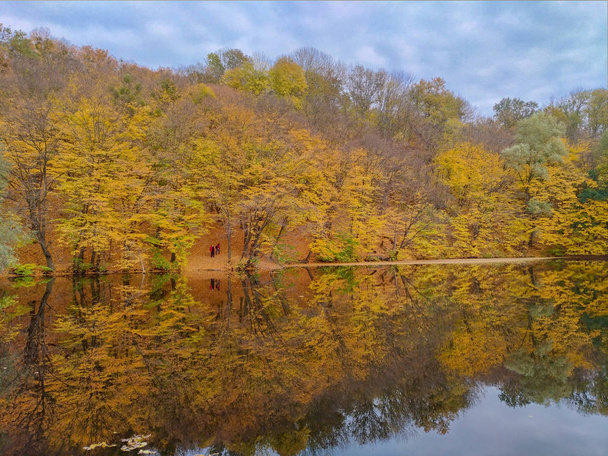 湖と木のある秋の風景 - 写真・画像