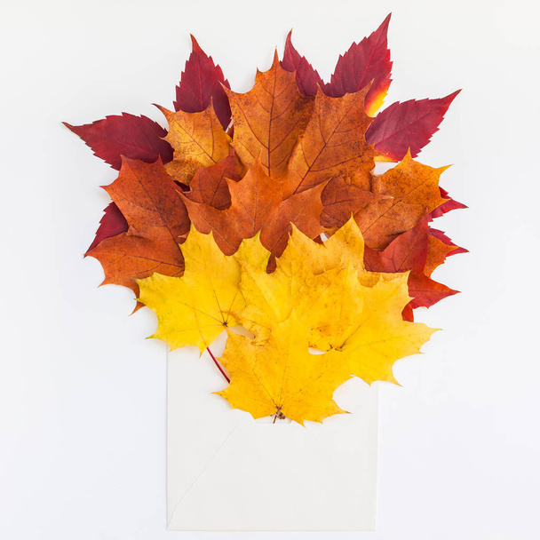 創造的なトップ ビュー フラット置く秋の概念構成。封筒は、明るい秋葉ホワイト バック グラウンド コピー空間を乾燥させます。正方形テンプレート秋感謝祭結婚式記念日招待状を模擬 - 写真・画像