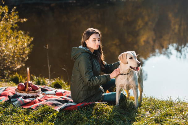 young woman siting on blanket with adorable golden retriever near pond in park - Photo, image